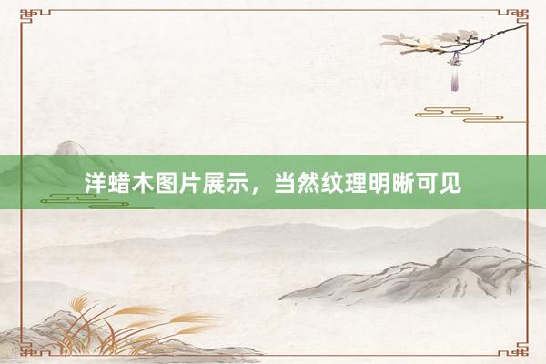 洋蜡木图片展示，当然纹理明晰可见