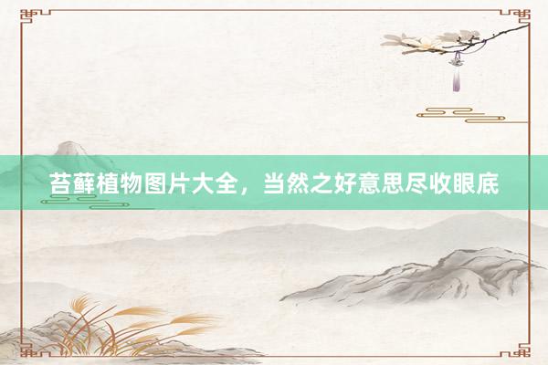 苔藓植物图片大全，当然之好意思尽收眼底